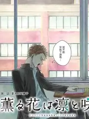 深夜厨房计划综艺热播榜